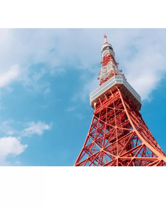 90分鐘 東京櫻花地標巡遊套餐【3～4月限定】